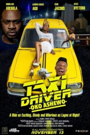 Taxi Driver: Oko Ashewo 2015 on netflix