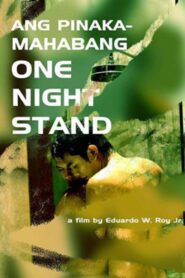 Ang Mga Pinakamahabang One Night Stand 2006 on netflix