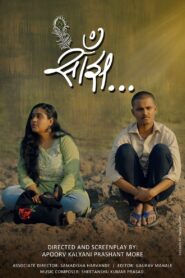 Saanjh 2024 on netflix