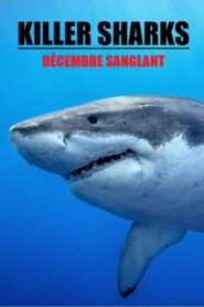 Killer Sharks: The Attacks of Black December 2011 on netflix