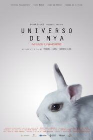 Universo de Mya 2011 on netflix