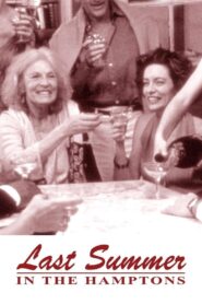 Last Summer in the Hamptons 1995 on netflix