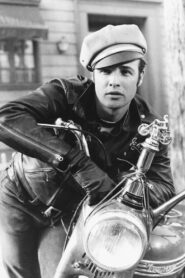 Brando: An Icon Is Born 2007 on netflix