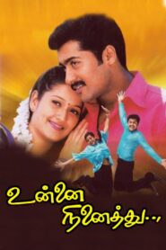Unnai Ninaithu 2002 on netflix
