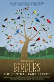 Birders: The Central Park Effect 2012 on netflix