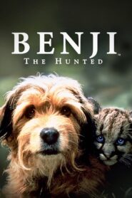 Benji the Hunted 1987 on netflix