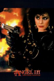 Angel III: The Final Chapter 1988 on netflix
