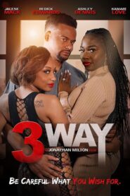 3 Way 2021 on netflix