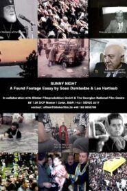 Sunny Night 2017 on netflix