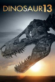 Dinosaur 13 2014 on netflix
