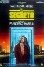 The Secret 1990 on netflix