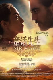 Mr. Made 2017 on netflix
