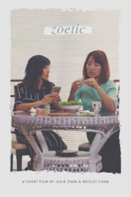 Zoetic 2019 on netflix