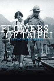 Flowers of Taipei: Taiwan New Cinema 2014 on netflix