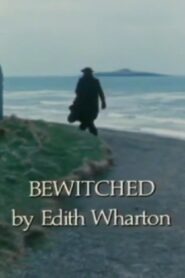Bewitched 1983 on netflix