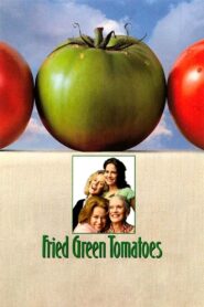 Fried Green Tomatoes 1991 on netflix