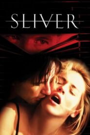 Sliver 1993 on netflix