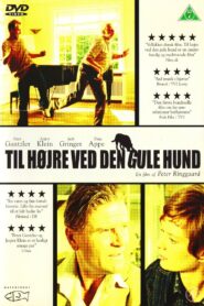 Turn Right by the Yellow Dog 2003 on netflix