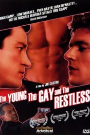 The Young, the Gay and the Restless 2006 on netflix