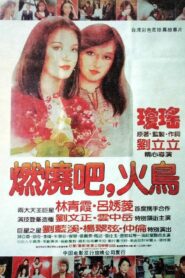 Burn Phoenix Burn 1982 on netflix