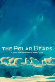 The Polar Bears 2012 on netflix