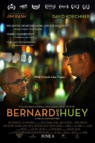 Bernard and Huey 2018 on netflix