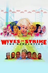 Wives on Strike: The Revolution 2018 on netflix