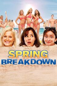 Spring Breakdown 2009 on netflix