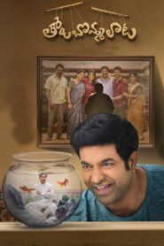 Tholu Bommalata 2019 on netflix