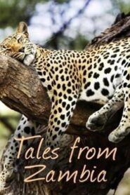 Tales from Zambia 2017 on netflix