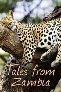Tales from Zambia 2017 on netflix