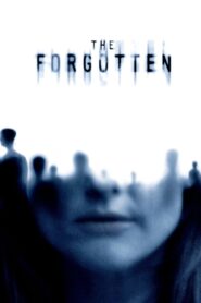 The Forgotten 2004 on netflix