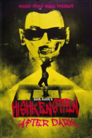 Hishkenstien: After Dark 2024 on netflix