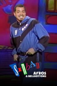 Sinbad: Afros and Bellbottoms 1993 on netflix