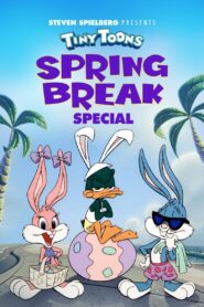 Tiny Toon Spring Break 1994 on netflix