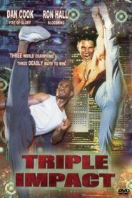 Triple Impact 1993 on netflix