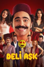 Deli Aşk 2017 on netflix