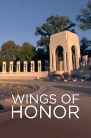 Wings of Honor 2009 on netflix