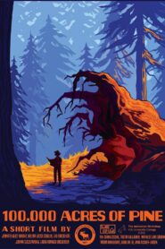 100,000 Acres of Pine 2020 on netflix