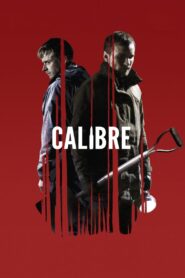Calibre 2018 on netflix