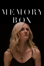 Memory Box 2016 on netflix