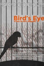Bird’s Eye 2020 on netflix