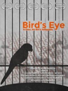 Bird’s Eye 2020 on netflix
