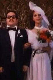 Marital Jokes 1989 on netflix