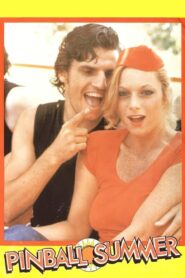 Pinball Summer 1980 on netflix