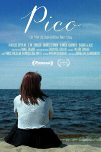 Pico 2024 on netflix