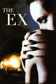 The Ex 1996 on netflix