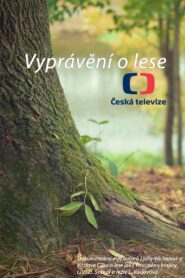 Vyprávění o lese 2012 on netflix