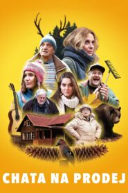 Chalet for sale 2018 on netflix