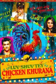 Luv Shuv Tey Chicken Khurana 2012 on netflix